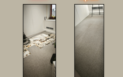 Remplacement dalles de moquettes Lyon 3