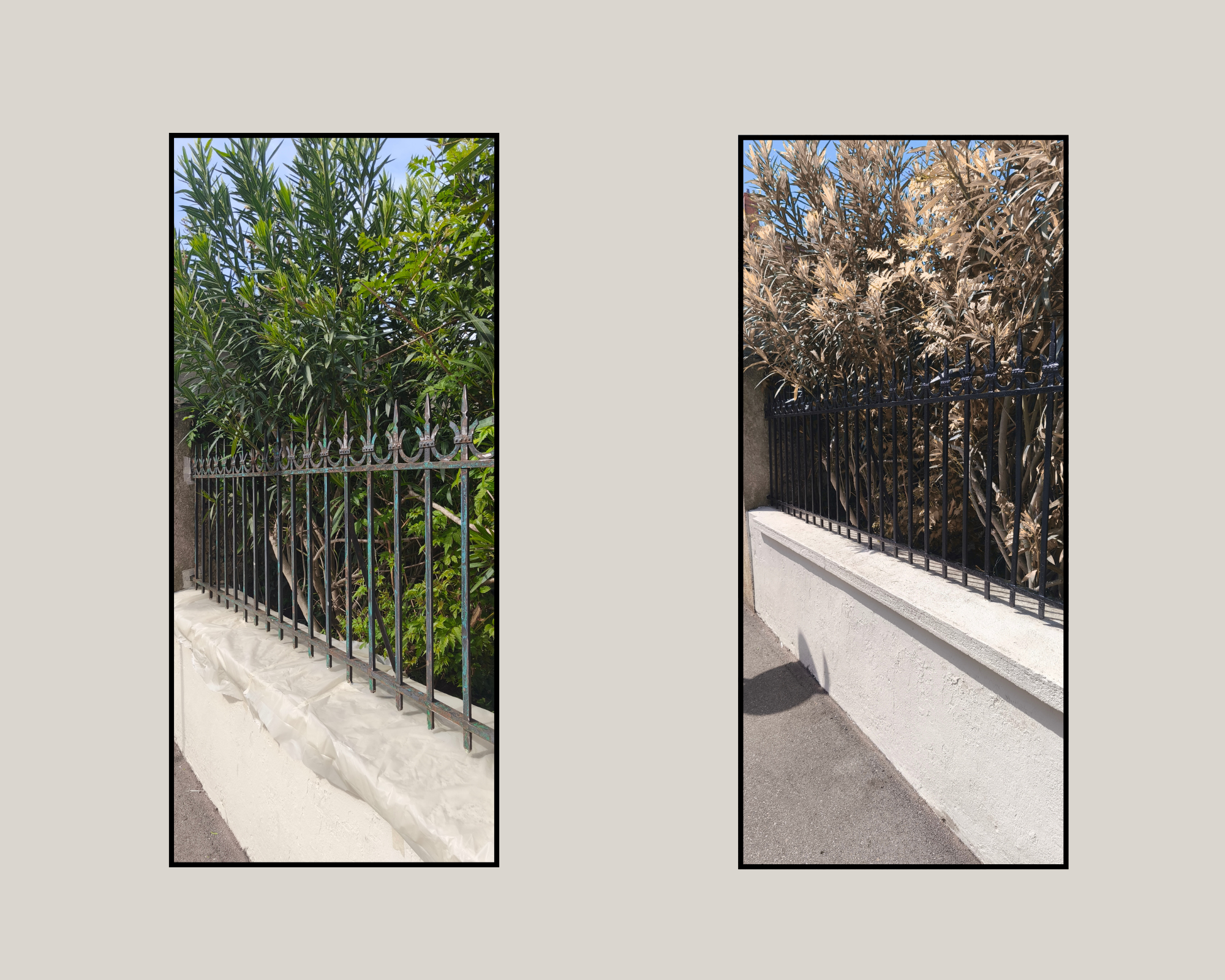 Rénovation et peinture d&rsquo;une grille en fer forgé à Lyon